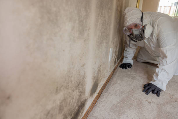 Best Residential Mold Inspection & Testing  in Kenwood, OH